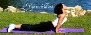 yoga-in-the-park-banner