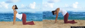 http://www.huffingtonpost.com/2013/09/05/morning-yoga-poses_n_3801840.html